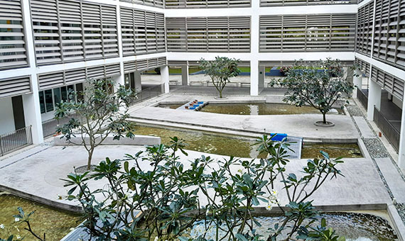 ラッフルズアメリカンスクール中庭